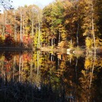 Fall Reflections at Tranquility Lakes