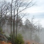 Mist on the Mountain