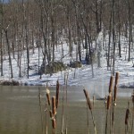 Winter at Tranquility Lakes