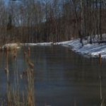 Winter at Tranquility Lakes